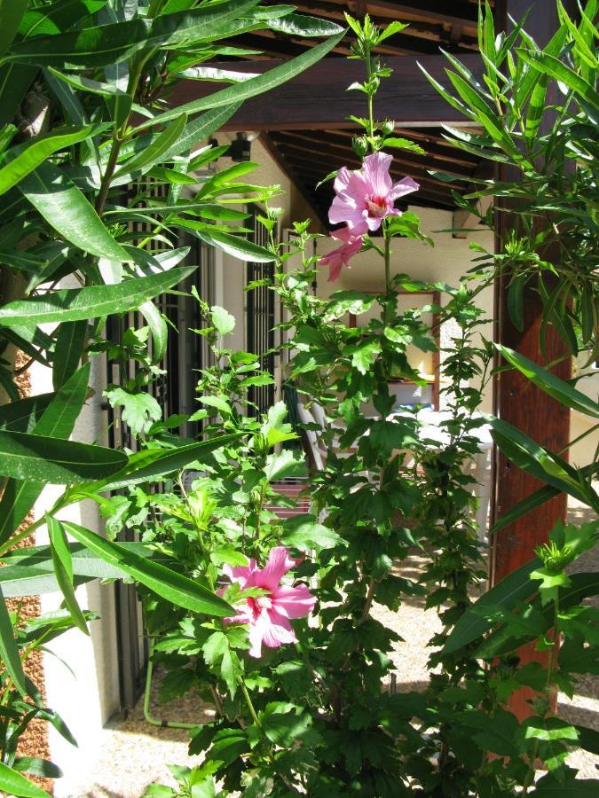 Vias Plage - Maison De Vacances Екстер'єр фото